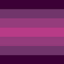 phoenixwitchgender